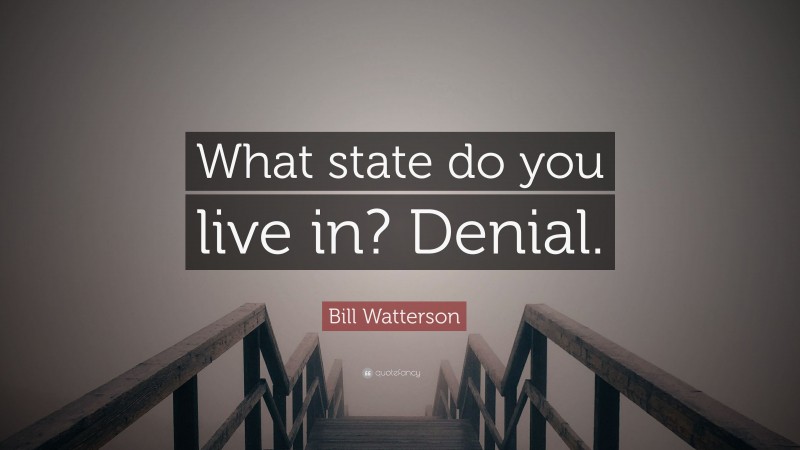 Bill Watterson Quote: “What state do you live in? Denial.”