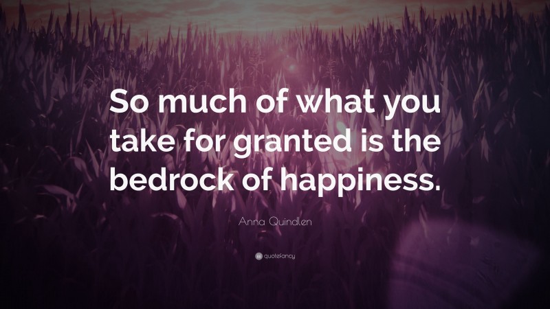 Anna Quindlen Quote: “So much of what you take for granted is the bedrock of happiness.”