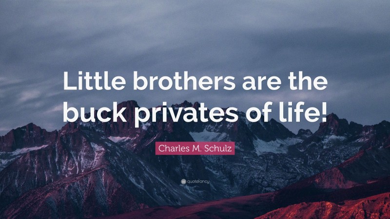 Charles M. Schulz Quote: “Little brothers are the buck privates of life!”