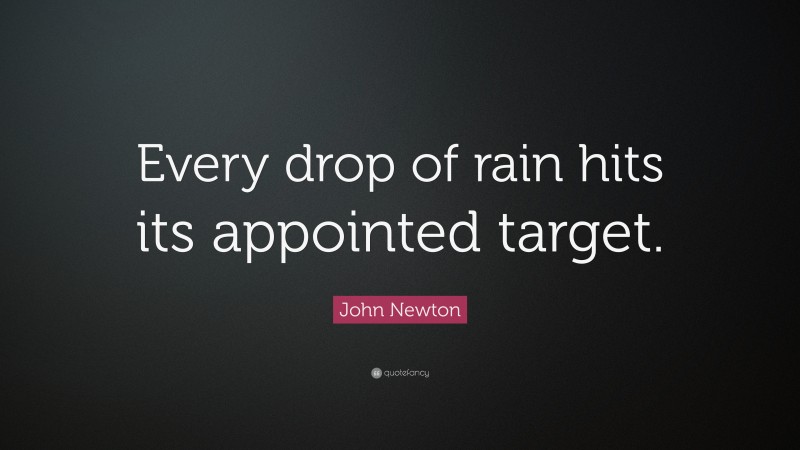 John Newton Quote: “Every drop of rain hits its appointed target.”