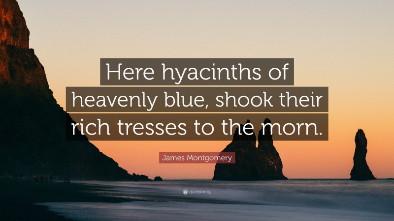 James Montgomery Quote: “Here hyacinths of heavenly blue, shook their rich tresses to the morn.”