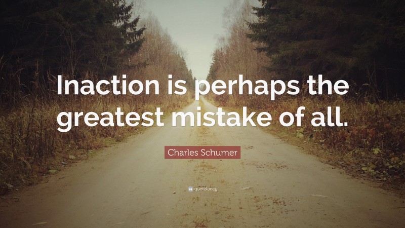 Charles Schumer Quote: “Inaction is perhaps the greatest mistake of all.”