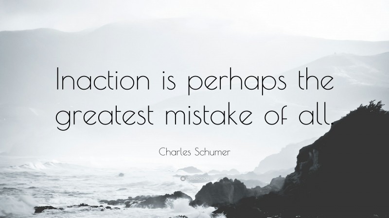 Charles Schumer Quote: “Inaction is perhaps the greatest mistake of all.”