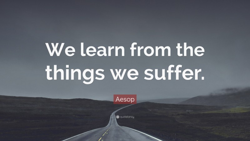 Aesop Quote: “We learn from the things we suffer.”
