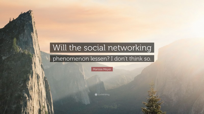 Marissa Meyer Quote: “Will the social networking phenomenon lessen? I don’t think so.”