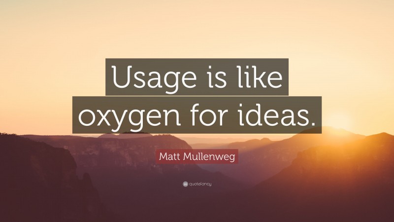 Matt Mullenweg Quote: “Usage is like oxygen for ideas.”