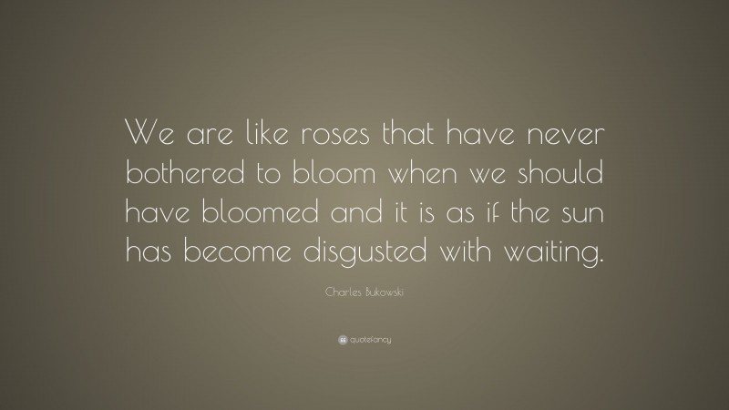 Charles Bukowski Quote: “We are like roses that have never bothered to bloom when we should have bloomed and it is as if the sun has become disgusted with waiting.”
