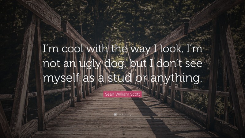 Sean William Scott Quote: “I’m cool with the way I look, I’m not an ugly dog, but I don’t see myself as a stud or anything.”