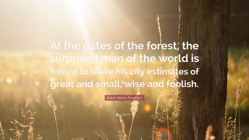 Ralph Waldo Emerson Quote: “At the gates of the forest, the surprised man of the world is forced to leave his city estimates of great and small, wise and foolish.”