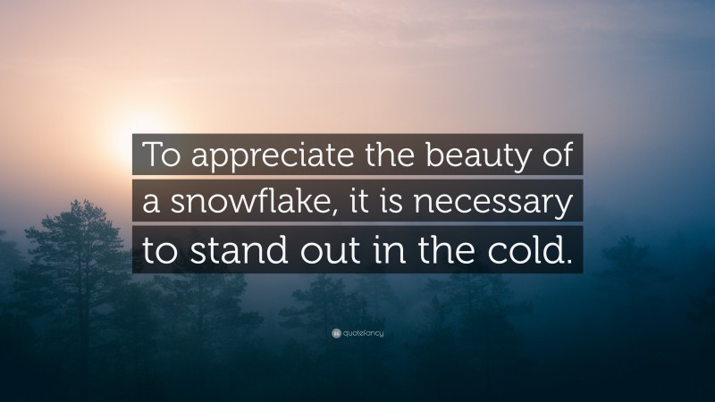 “To appreciate the beauty of a snowflake, it is necessary to stand out in the cold.” — Desktop Wallpaper