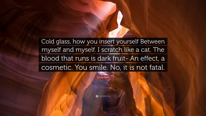 Sylvia Plath Quote: “Cold glass, how you insert yourself Between myself and myself. I scratch like a cat. The blood that runs is dark fruit- An effect, a cosmetic. You smile. No, it is not fatal.”