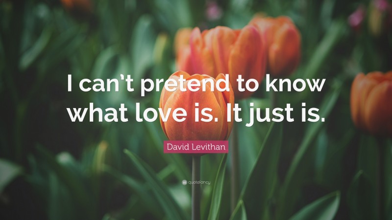 David Levithan Quote: “I can’t pretend to know what love is. It just is.”