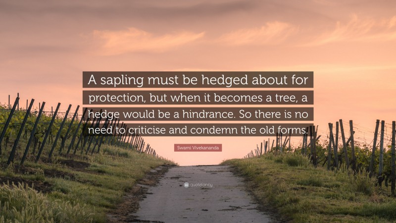 Swami Vivekananda Quote: “A sapling must be hedged about for protection, but when it becomes a tree, a hedge would be a hindrance. So there is no need to criticise and condemn the old forms.”
