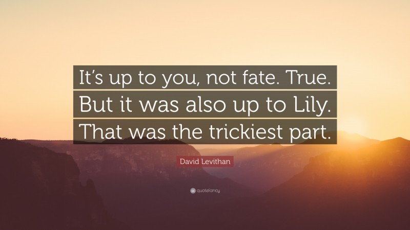 David Levithan Quote: “It’s up to you, not fate. True. But it was also up to Lily. That was the trickiest part.”