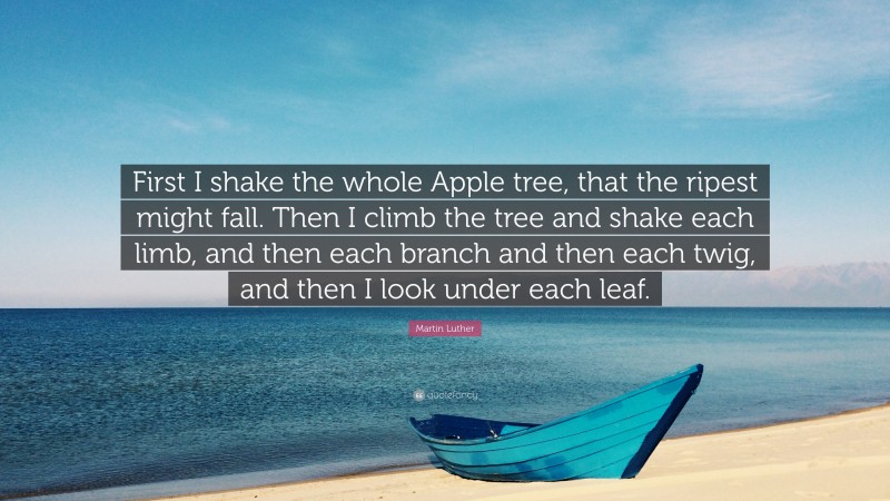 Martin Luther Quote: “First I shake the whole Apple tree, that the ripest might fall. Then I climb the tree and shake each limb, and then each branch and then each twig, and then I look under each leaf.”