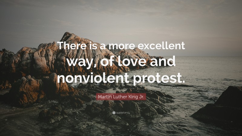 Martin Luther King Jr. Quote: “There is a more excellent way, of love and nonviolent protest.”