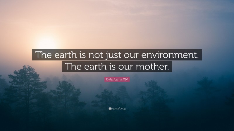 Dalai Lama XIV Quote: “The earth is not just our environment. The earth is our mother.”