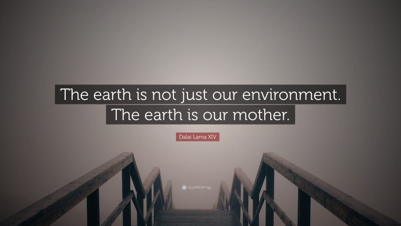 Dalai Lama XIV Quote: “The earth is not just our environment. The earth is our mother.”
