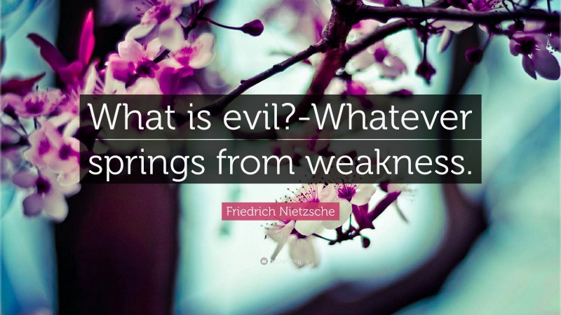 Friedrich Nietzsche Quote: “What is evil?-Whatever springs from weakness.”