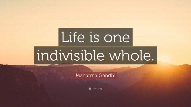 Mahatma Gandhi Quote: “Life is one indivisible whole.”