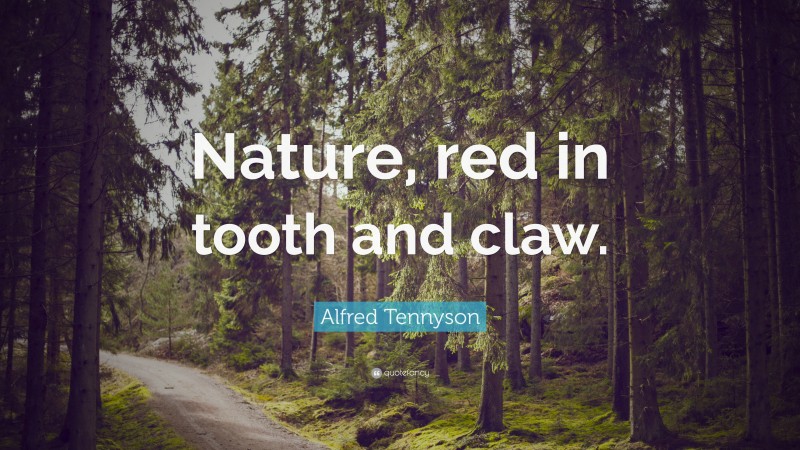 Alfred Tennyson Quote: “Nature, red in tooth and claw.”