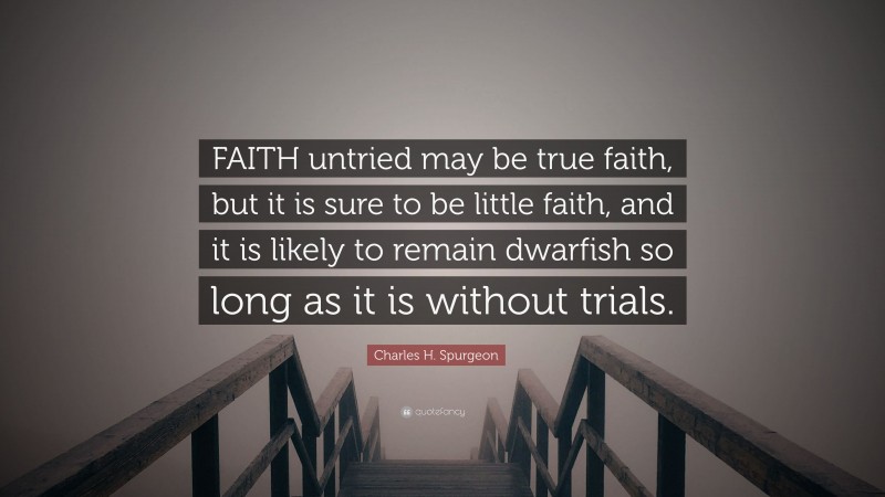 Charles H. Spurgeon Quote: “FAITH untried may be true faith, but it is sure to be little faith, and it is likely to remain dwarfish so long as it is without trials.”
