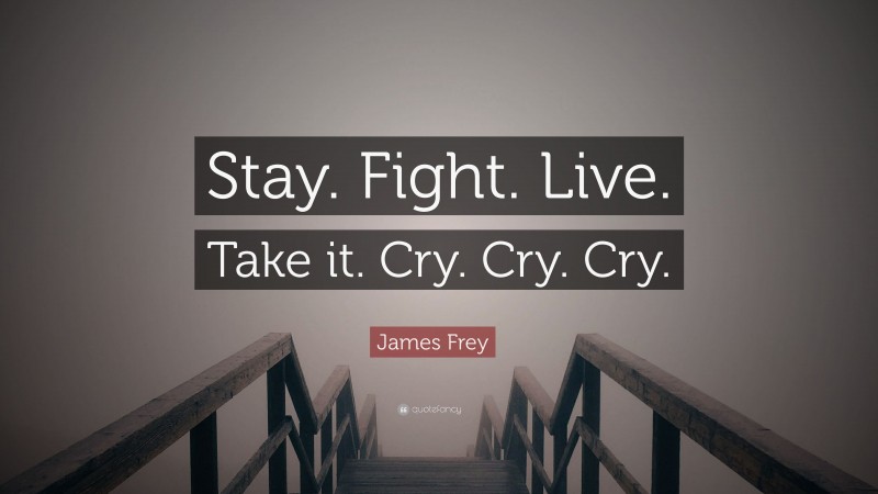 James Frey Quote: “Stay. Fight. Live. Take it. Cry. Cry. Cry.”