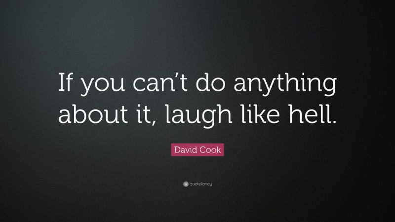 David Cook Quote: “If you can’t do anything about it, laugh like hell.”