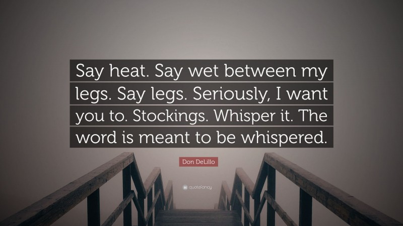 Don DeLillo Quote: “Say heat. Say wet between my legs. Say legs. Seriously, I want you to. Stockings. Whisper it. The word is meant to be whispered.”