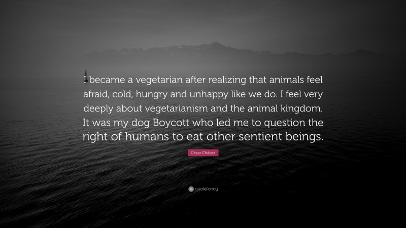 César Chávez Quote: “I became a vegetarian after realizing that animals feel afraid, cold, hungry and unhappy like we do. I feel very deeply about vegetarianism and the animal kingdom. It was my dog Boycott who led me to question the right of humans to eat other sentient beings.”
