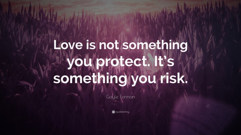 Gayle Forman Quote: “Love is not something you protect. It’s something you risk.”