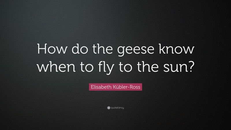 Elisabeth Kübler-Ross Quote: “How do the geese know when to fly to the sun?”