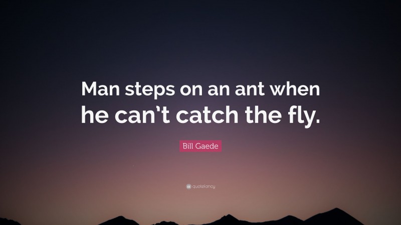 Bill Gaede Quote: “Man steps on an ant when he can’t catch the fly.”