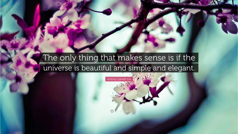 Antony Garrett Lisi Quote: “The only thing that makes sense is if the universe is beautiful and simple and elegant.”