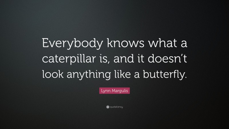 Lynn Margulis Quote: “Everybody knows what a caterpillar is, and it doesn’t look anything like a butterfly.”