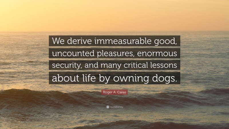 Roger A. Caras Quote: “We derive immeasurable good, uncounted pleasures, enormous security, and many critical lessons about life by owning dogs.”