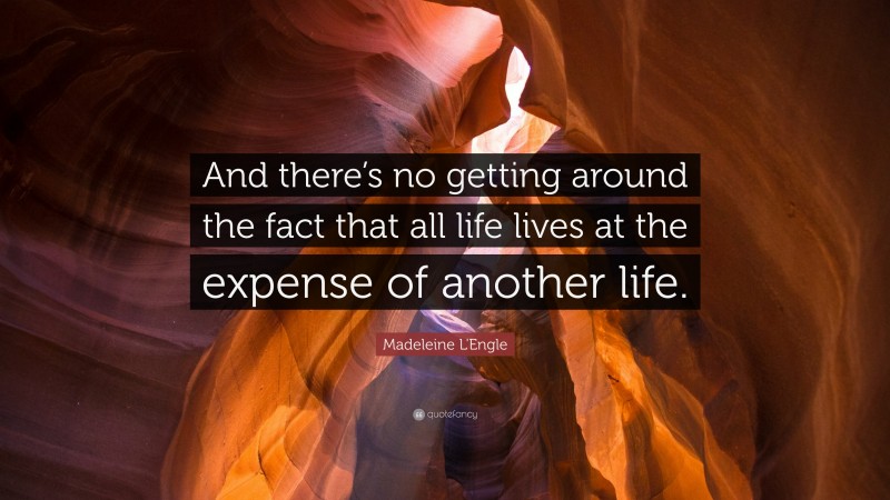 Madeleine L'Engle Quote: “And there’s no getting around the fact that all life lives at the expense of another life.”
