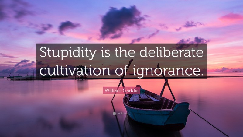 William Gaddis Quote: “Stupidity is the deliberate cultivation of ignorance.”