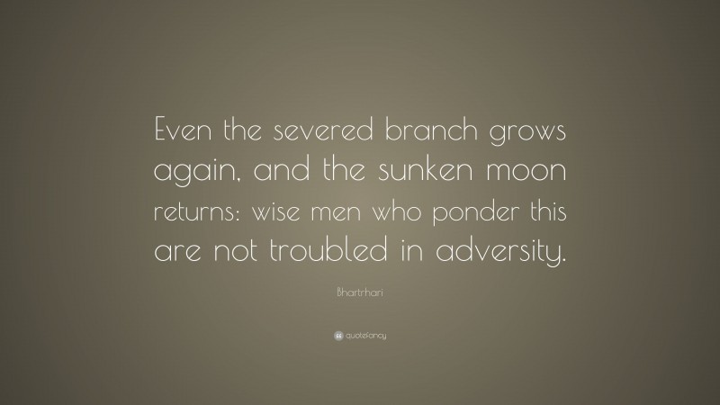 Bhartrhari Quote: “Even the severed branch grows again, and the sunken moon returns: wise men who ponder this are not troubled in adversity.”