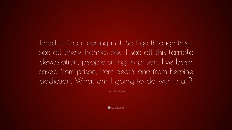 Luis J. Rodríguez Quote: “I had to find meaning in it. So I go through this, I see all these homies die; I see all this terrible devastation, people sitting in prison. I’ve been saved from prison, from death, and from heroine addiction. What am I going to do with that?”