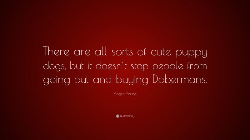 Angus Young Quote: “There are all sorts of cute puppy dogs, but it doesn’t stop people from going out and buying Dobermans.”