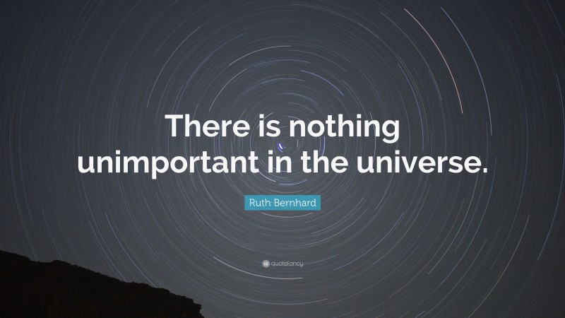 Ruth Bernhard Quote: “There is nothing unimportant in the universe.”