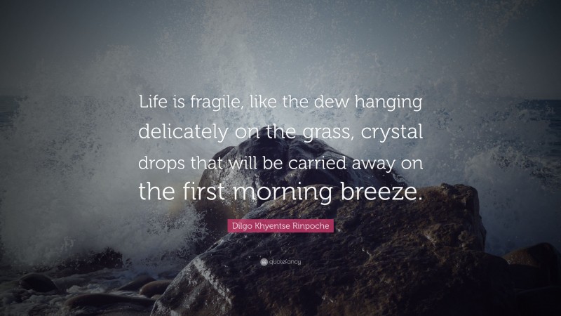 Dilgo Khyentse Rinpoche Quote: “Life is fragile, like the dew hanging delicately on the grass, crystal drops that will be carried away on the first morning breeze.”