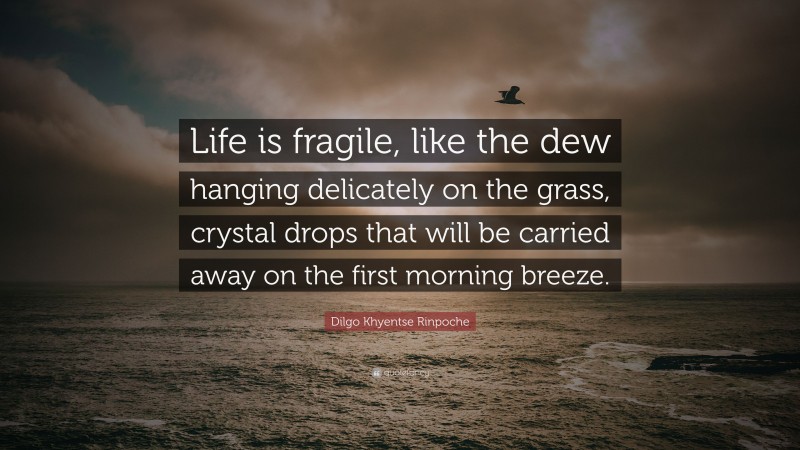 Dilgo Khyentse Rinpoche Quote: “Life is fragile, like the dew hanging delicately on the grass, crystal drops that will be carried away on the first morning breeze.”