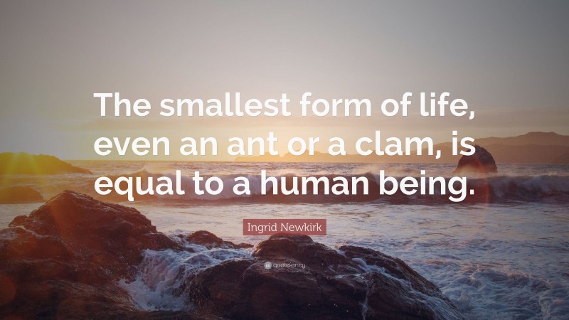 Ingrid Newkirk Quote: “The smallest form of life, even an ant or a clam, is equal to a human being.”