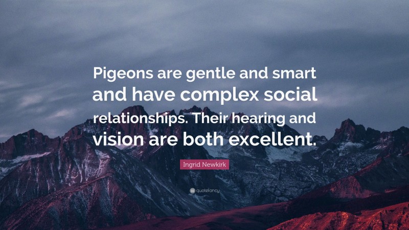 Ingrid Newkirk Quote: “Pigeons are gentle and smart and have complex social relationships. Their hearing and vision are both excellent.”