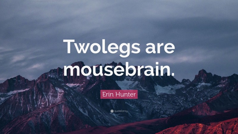 Erin Hunter Quote: “Twolegs are mousebrain.”