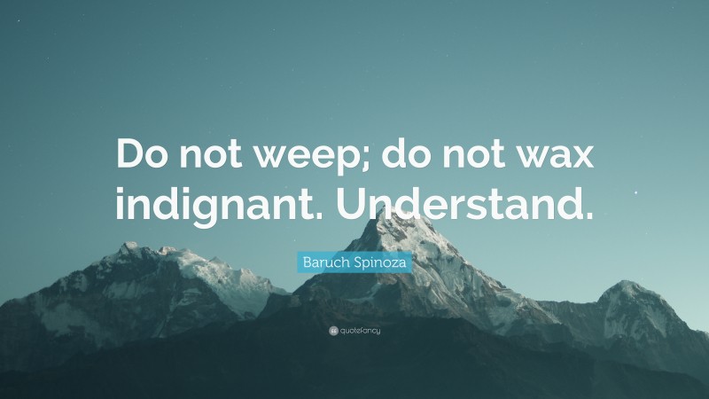 Baruch Spinoza Quote: “Do not weep; do not wax indignant. Understand.”