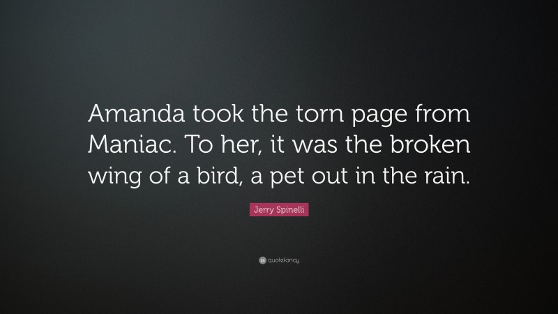 Jerry Spinelli Quote: “Amanda took the torn page from Maniac. To her, it was the broken wing of a bird, a pet out in the rain.”