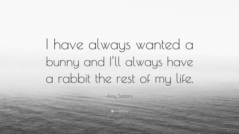 Amy Sedaris Quote: “I have always wanted a bunny and I’ll always have a rabbit the rest of my life.”